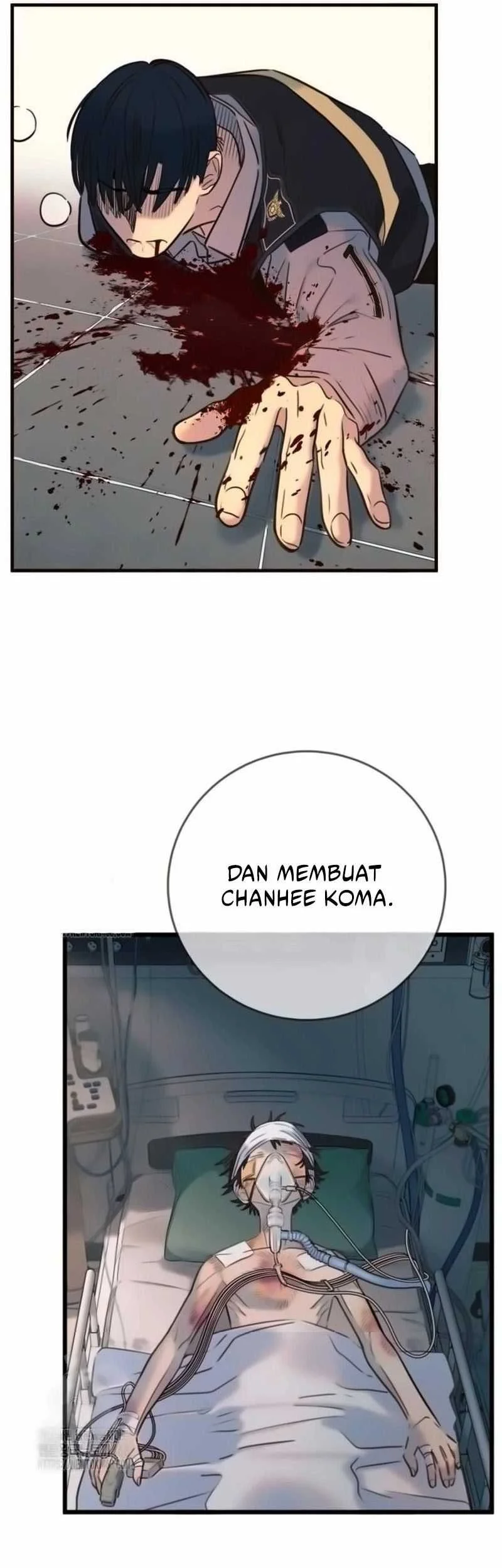 Halaman 12