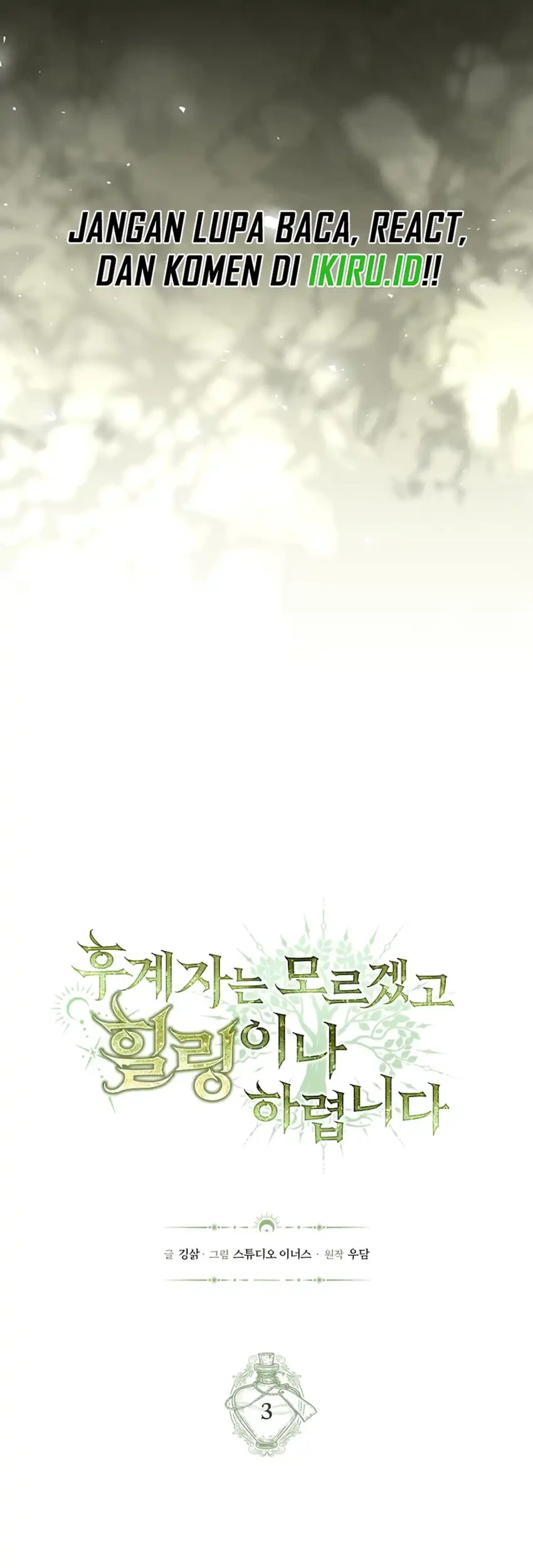 Never Mind the Heir, I’ll Focus On Healing Chapter 3 Gambar 17