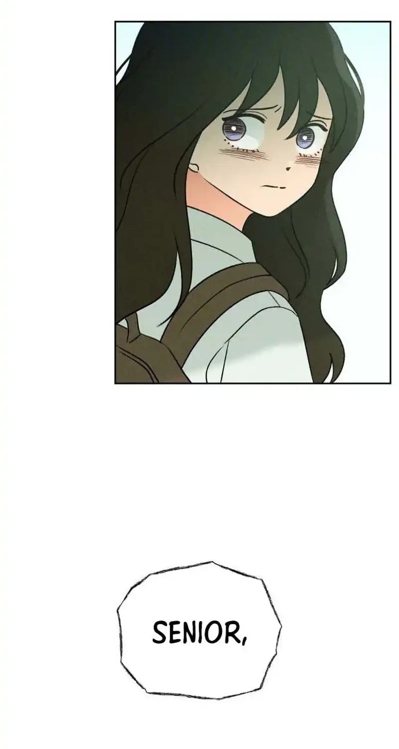 The Classmate Chapter 13 Gambar 12