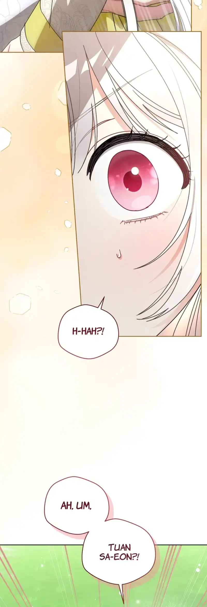The White Tiger Clan’s Baby Cotton Ball Chapter 21 Gambar 13