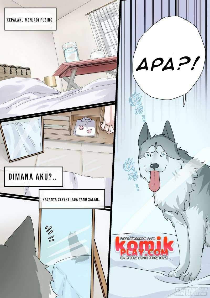 Halaman 4