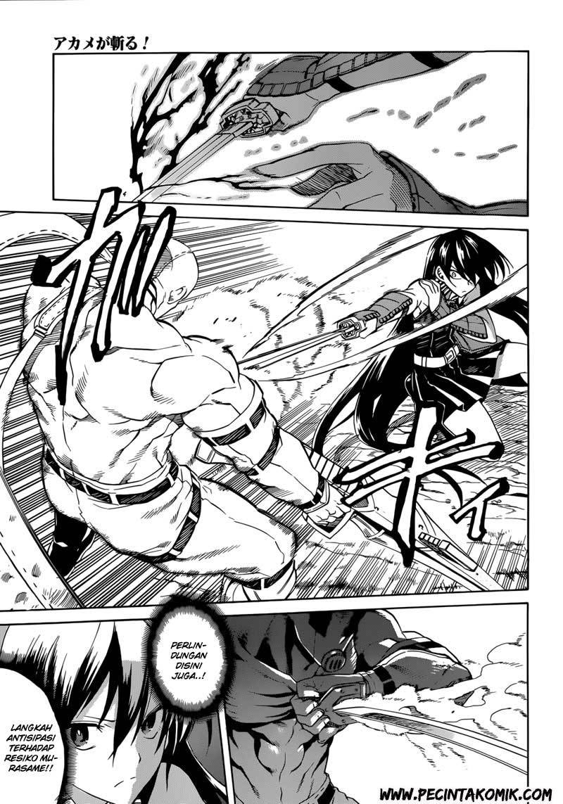 Akame ga Kill! Chapter 31 halaman 8
