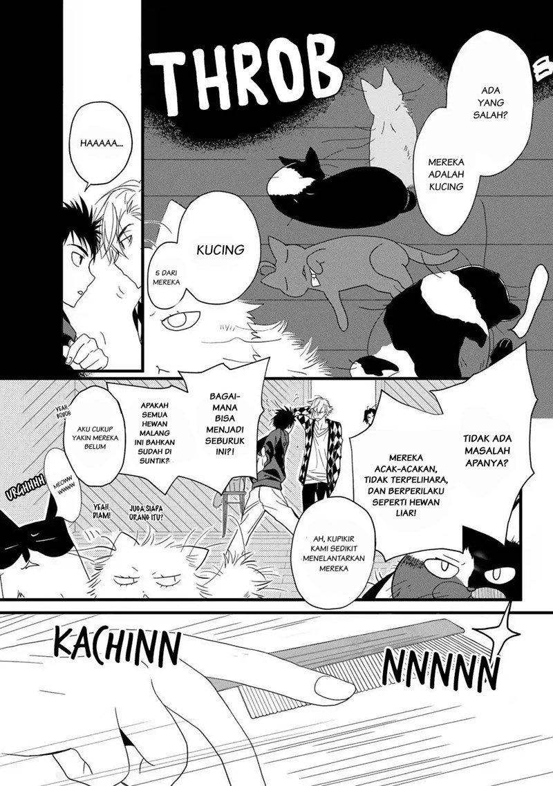 Coffee & Cat Chapter 2 halaman 4
