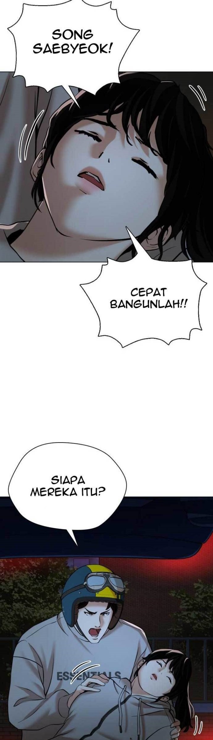 Halaman 19