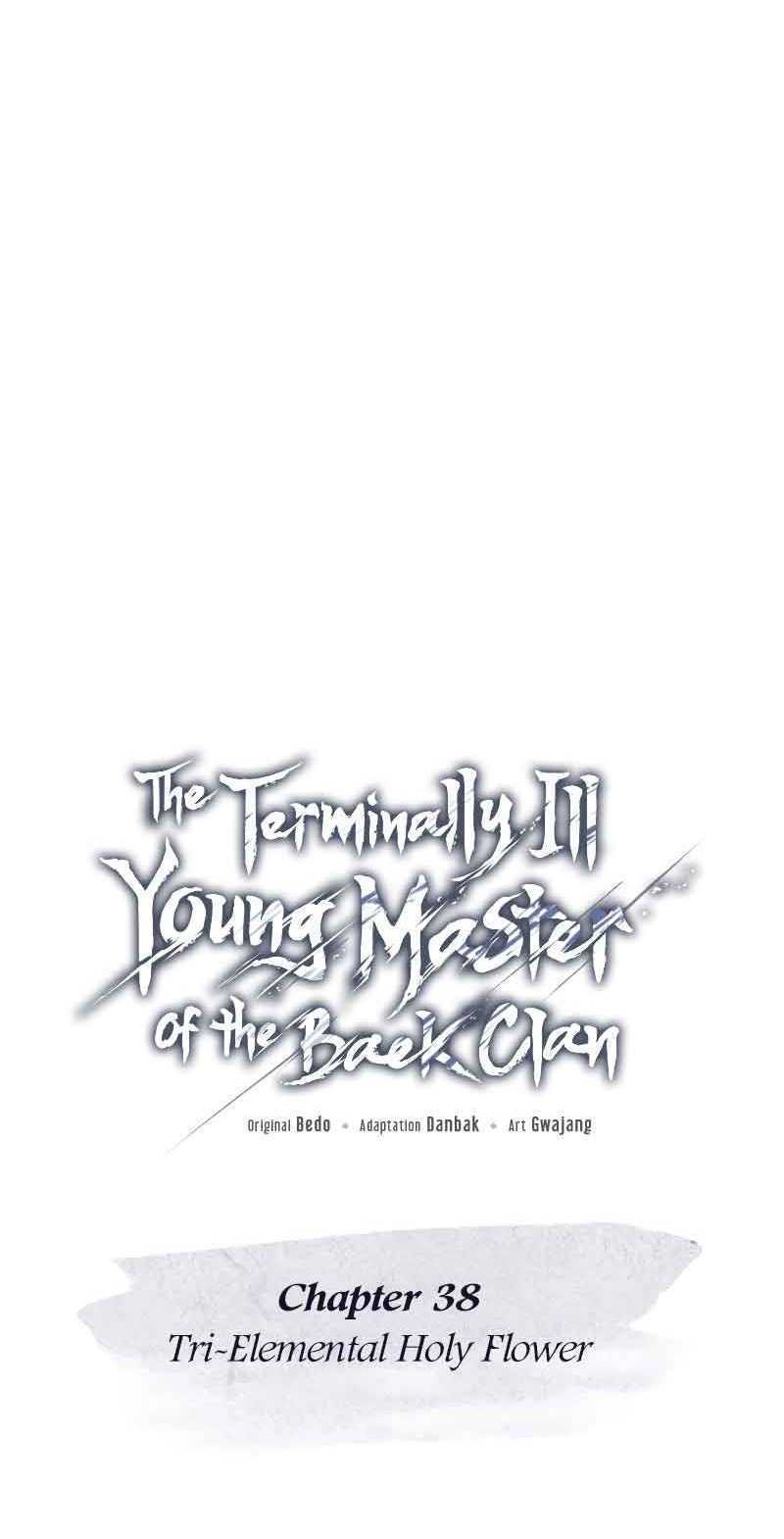 The Terminally Ill Young Master of the Baek Clan Chapter 38 Gambar 14