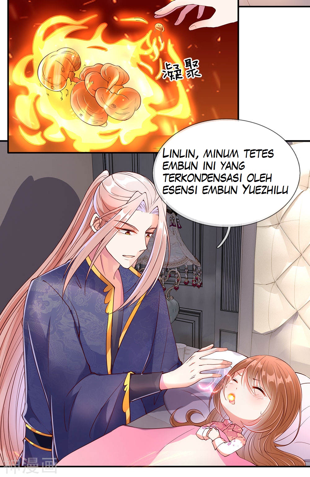 Halaman 5