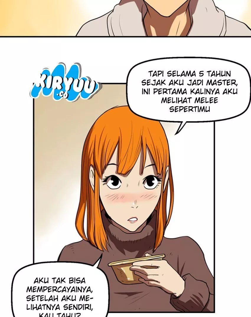 Halaman 17