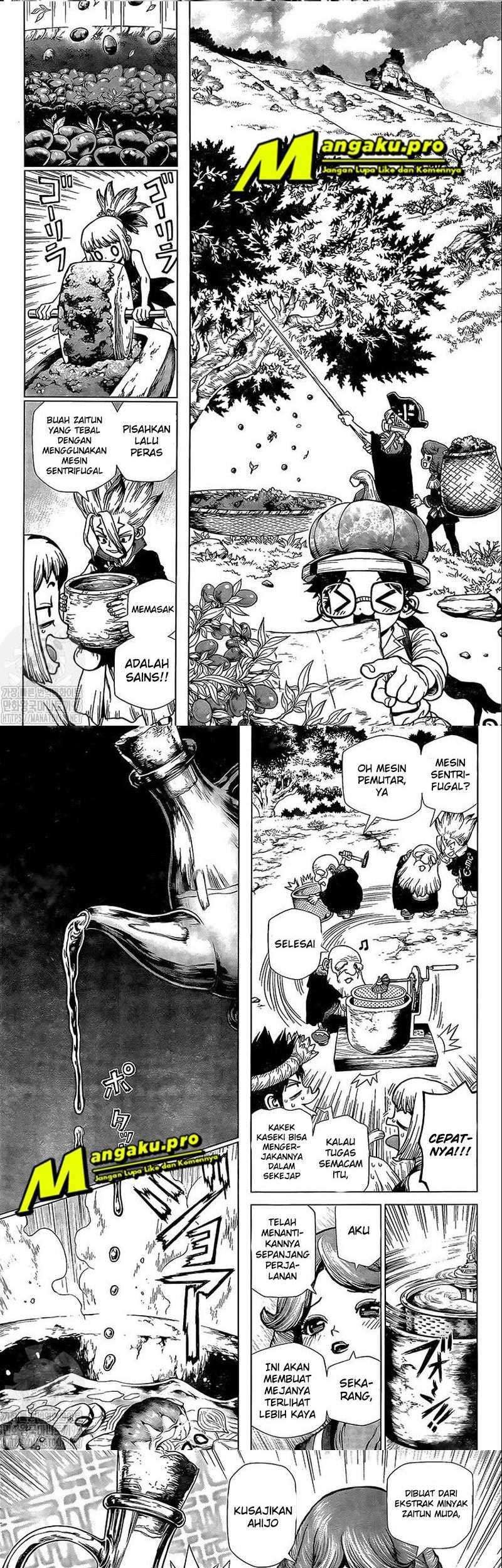 Dr. Stone Chapter 202 halaman 4